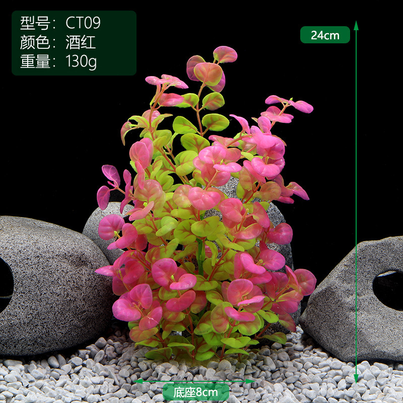 CT009酒红.jpg