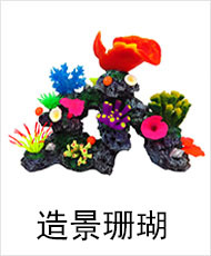 造景珊瑚
