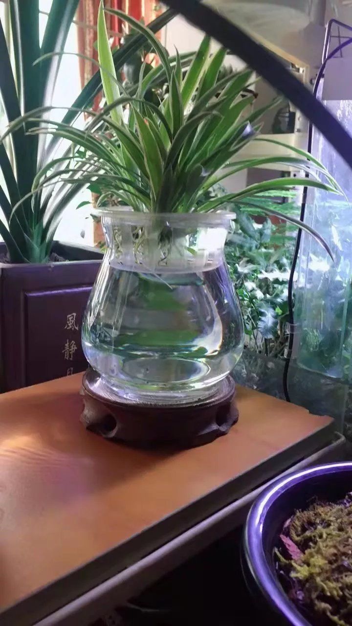 7183c1fd-6737-4154-9383-2017b7c4c91d.jpe