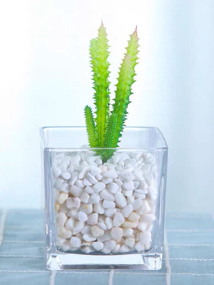 IMG_1196(20211027-163018)