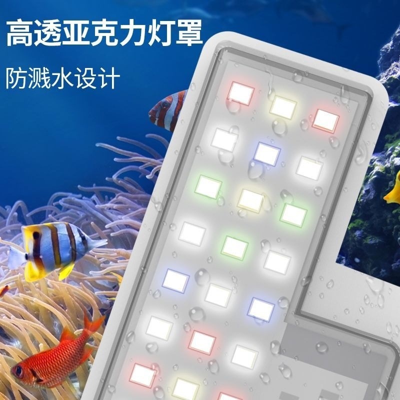 f0a426c8-3a97-4815-987e-050b968dcd5d.jpe