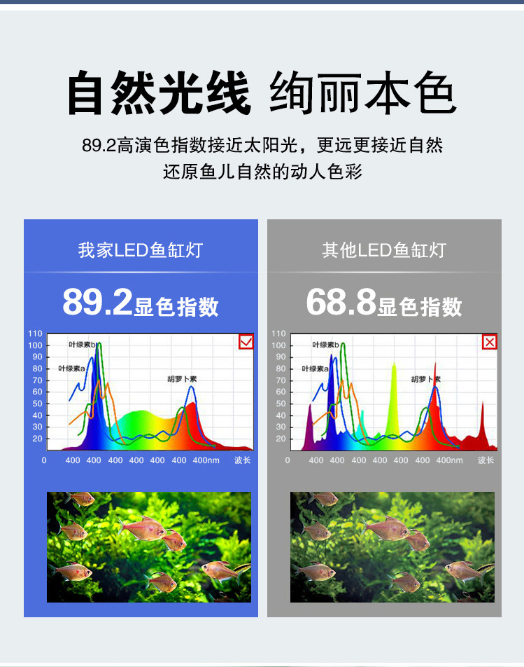 f8f32d51-2862-401d-9801-8de1d5e6133a.jpe