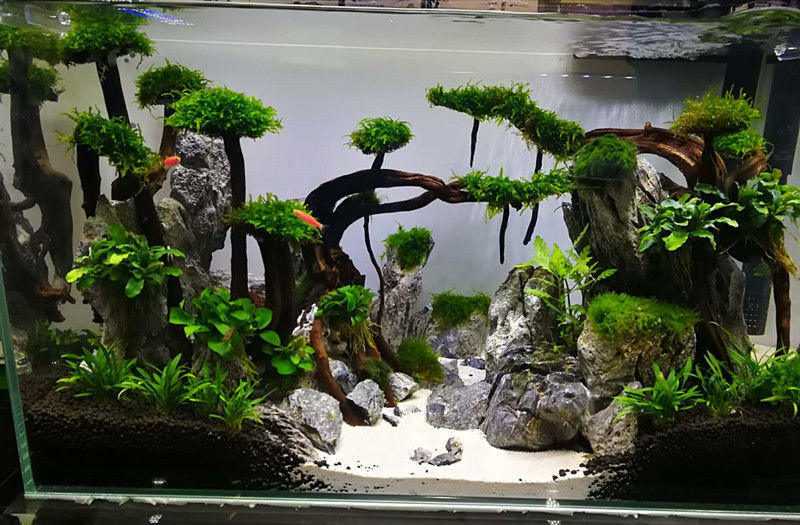 0b0ed401-64a1-4910-84e6-42794991f430.jpe