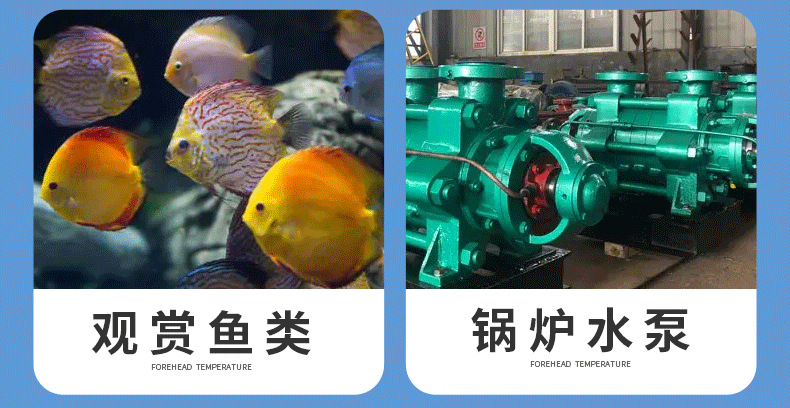 探针式温度计详情页_04