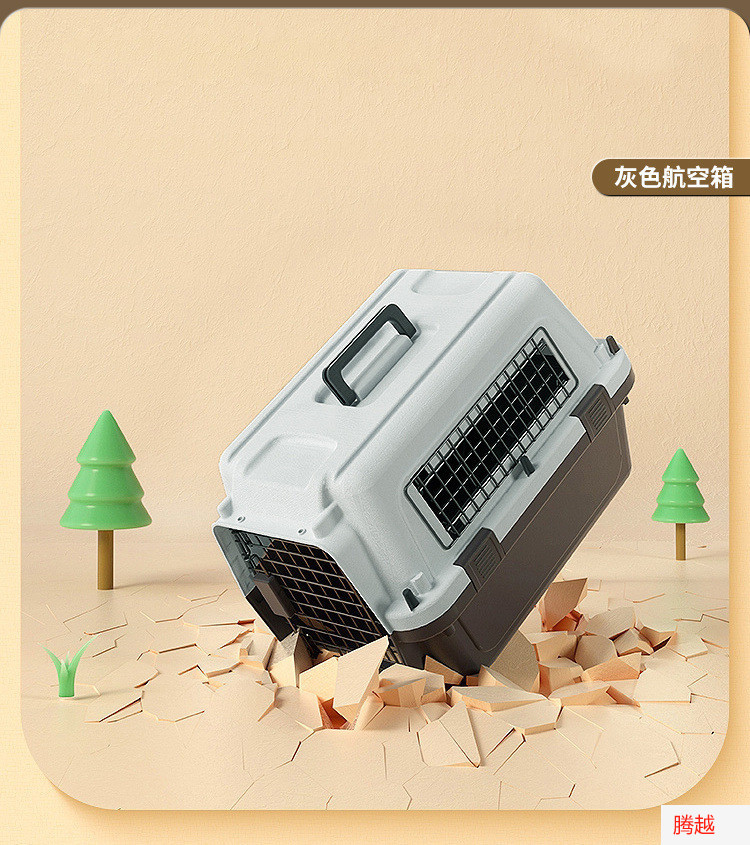 b221cfad-0cd1-49b2-8dd5-6f0e4ee8ece9.jpe