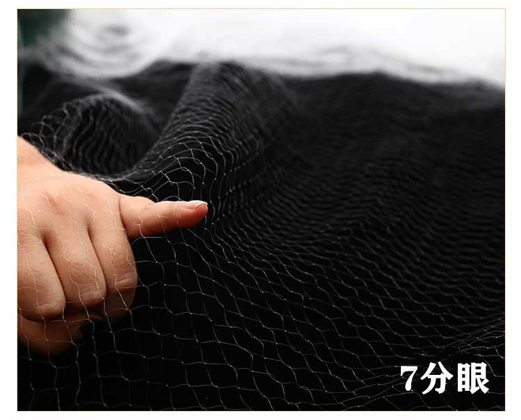 a593e982-8599-4e65-93d9-d297b99a50a8.jpe