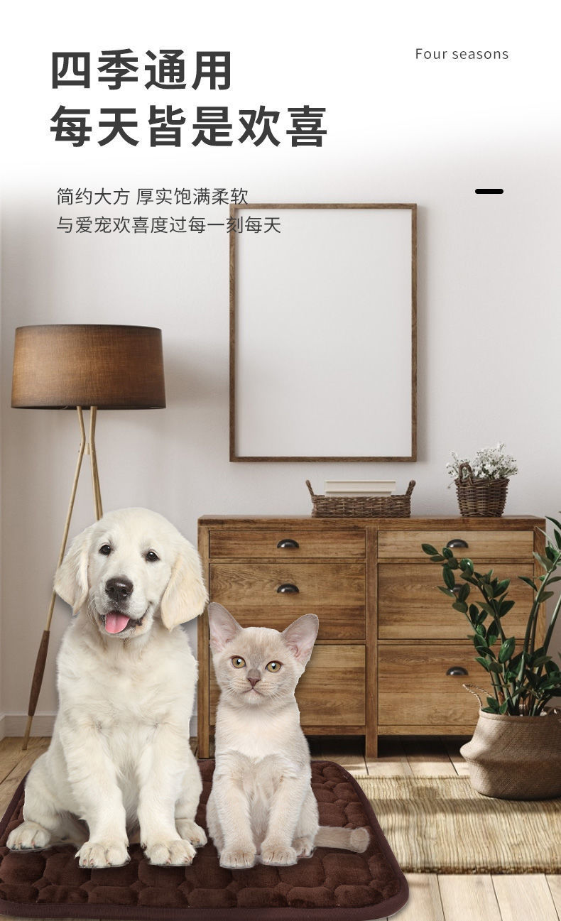 355127cc-18a2-486a-aaf6-24b56b4fbec2.jpe