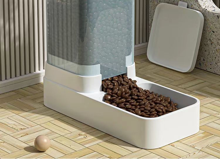 c2113553-fd16-43f4-b3fc-a493661d328d.jpe