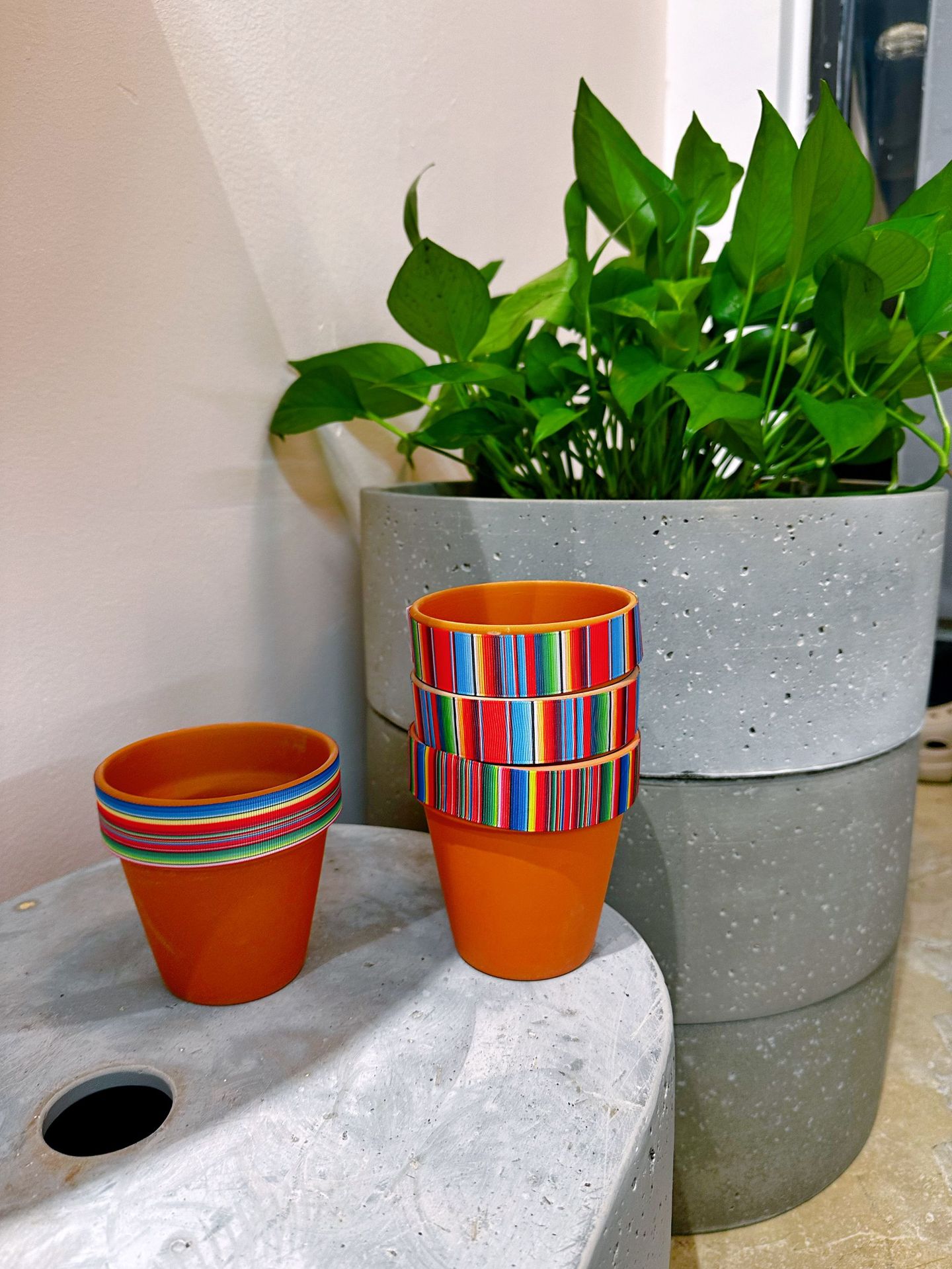 微信图片_20250331173033