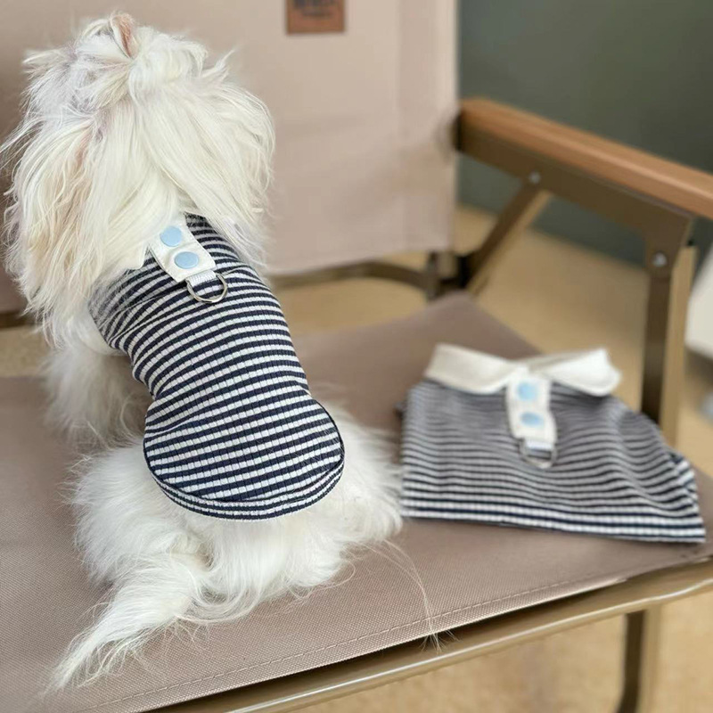 O1CN01wigIhZ2A8Q2Ajbqwp_!!2214