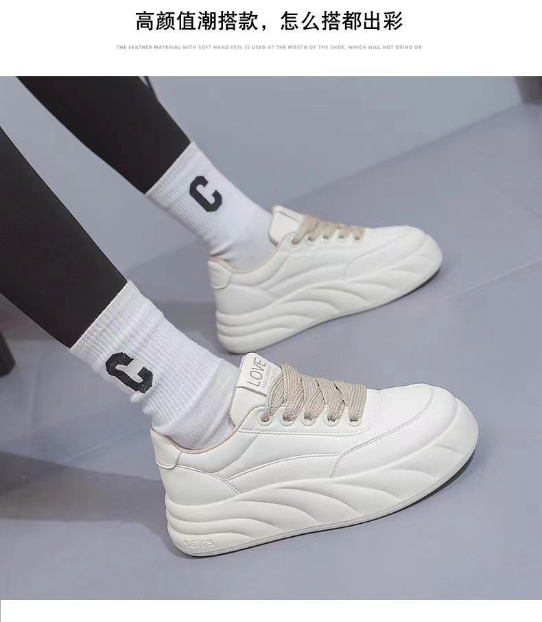 微信图片_202409121733332.jpg