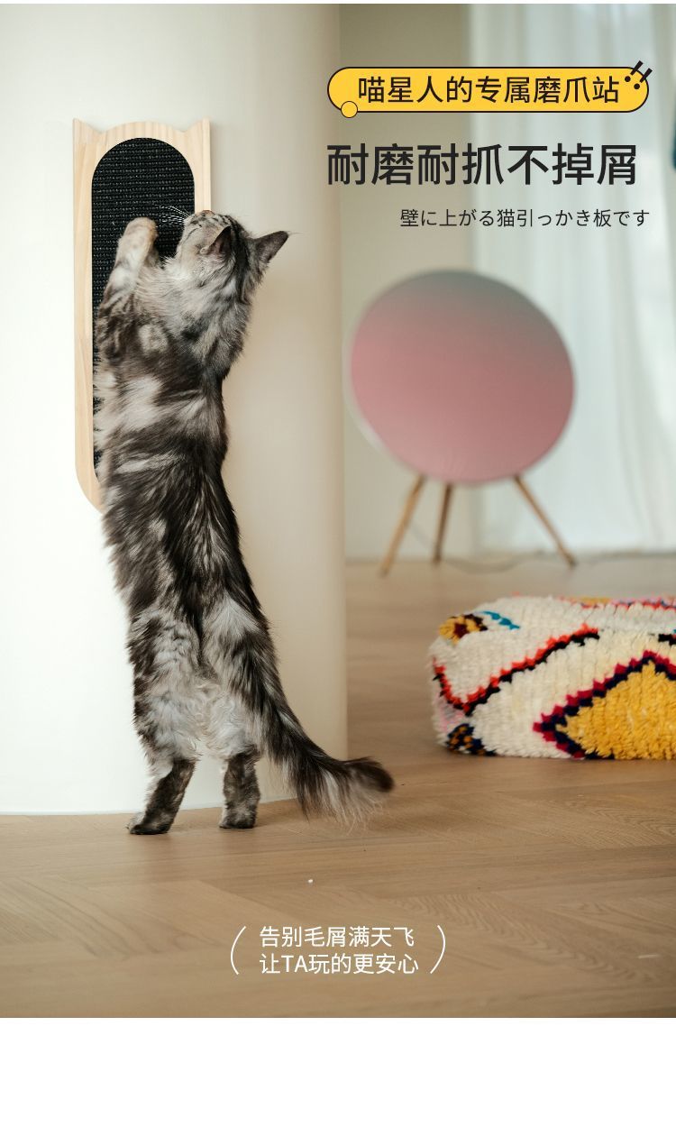 5d33874b-744c-4b41-b26a-bd71ab0cfc81.jpe