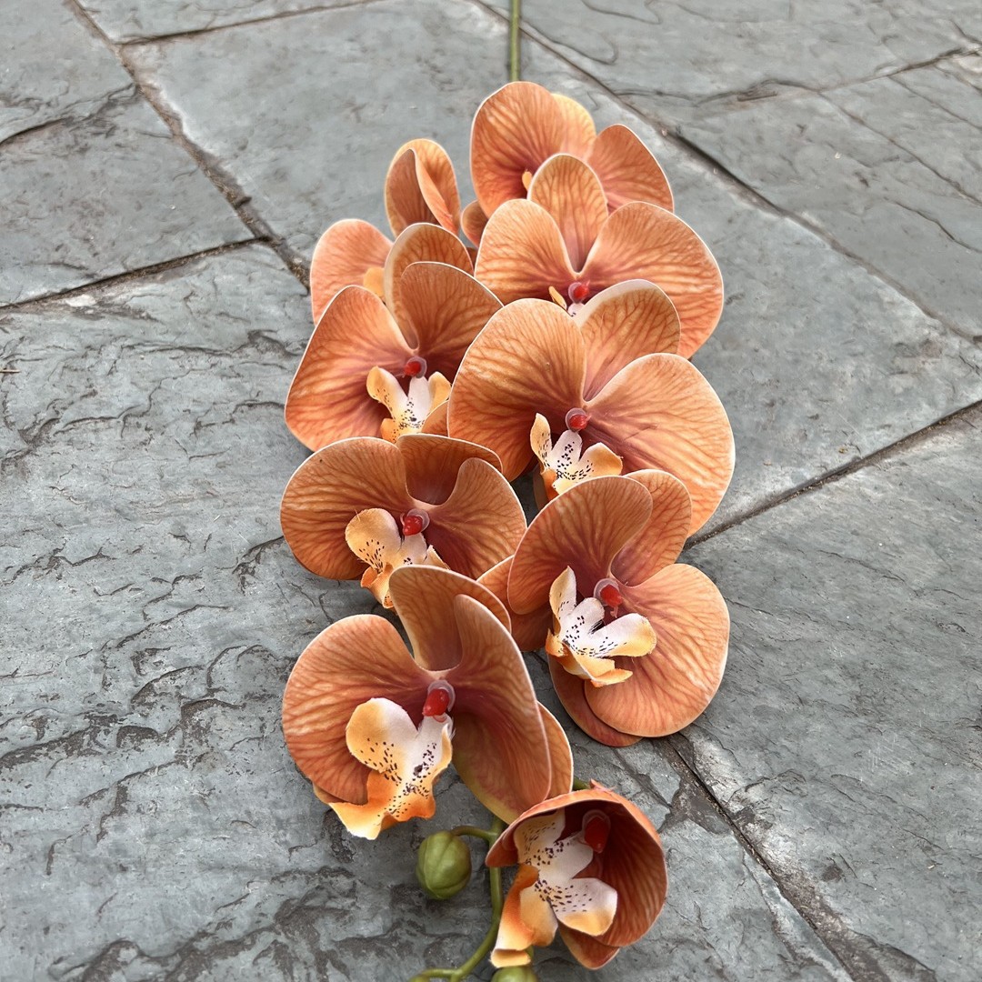 2024-11-07 16:26:13.jpg