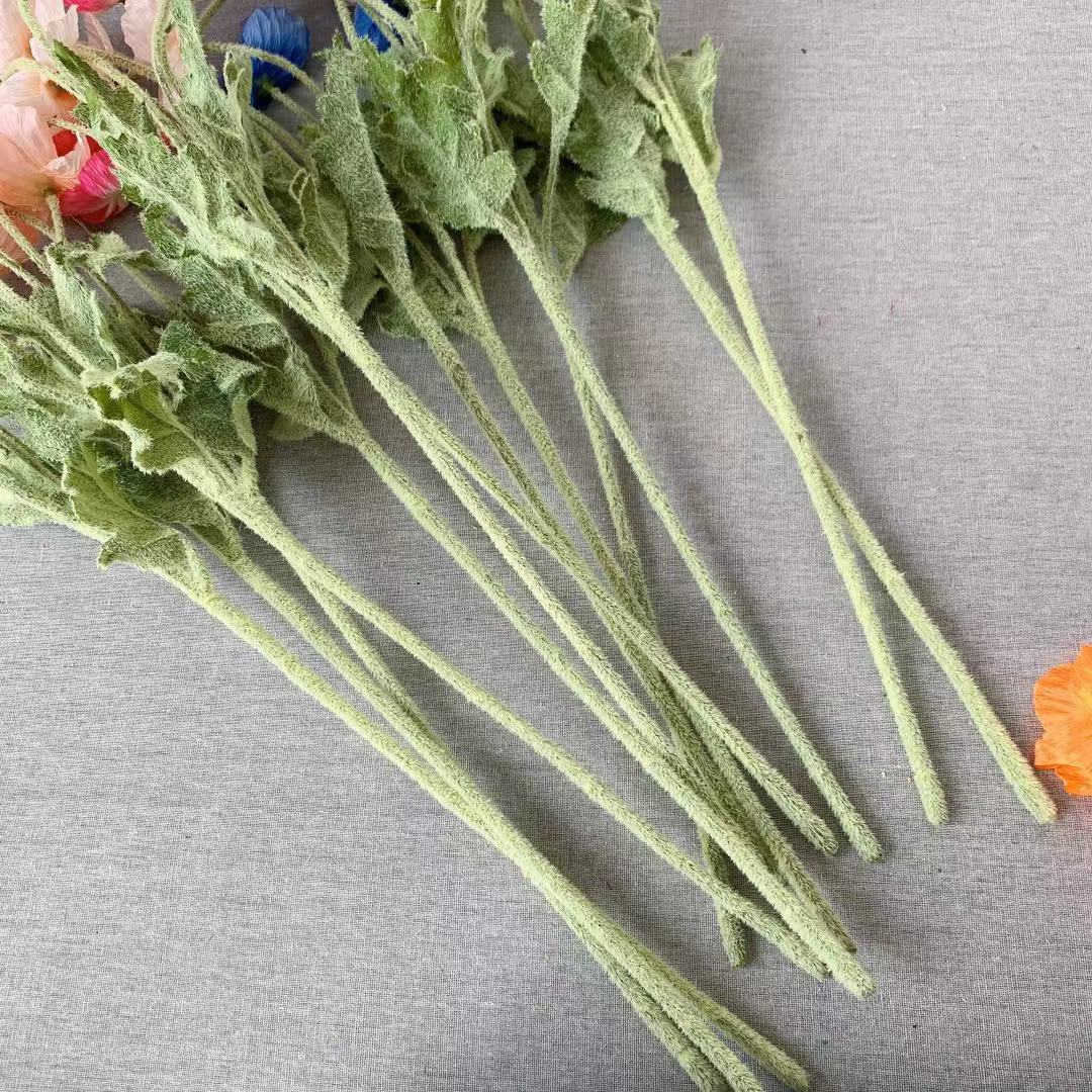 a6e01532b529cb17b3b875d3fa7ec8