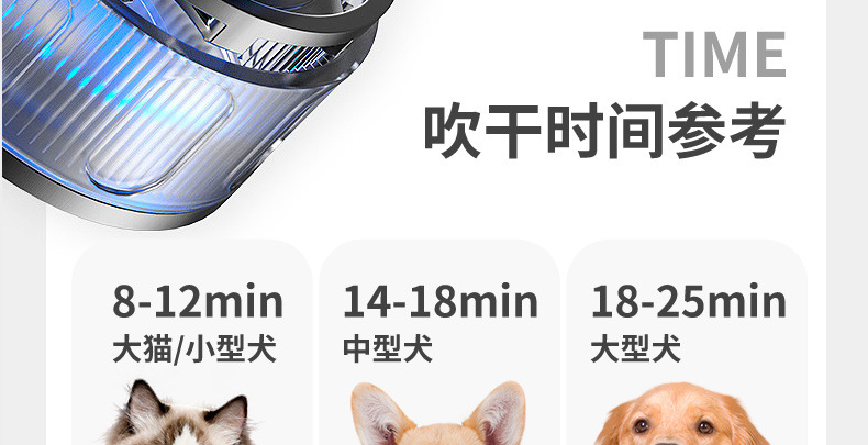 b6c64557-56cd-436d-8d1f-fa7af5b1ac74.jpe