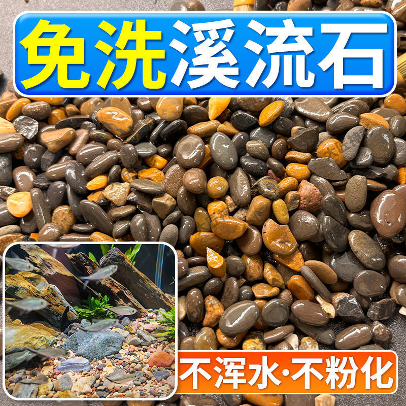 0245dadb-eb85-47a5-a744-0f4dbe3e527b.jpe