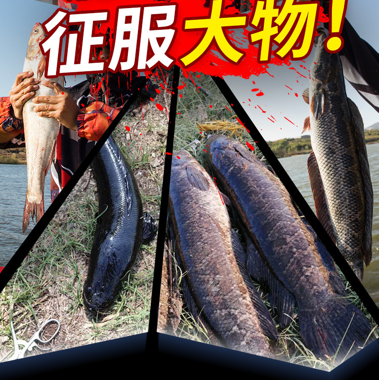 详情-13
