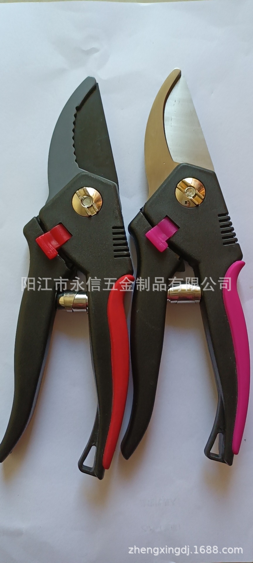 微信图片_20211020171415