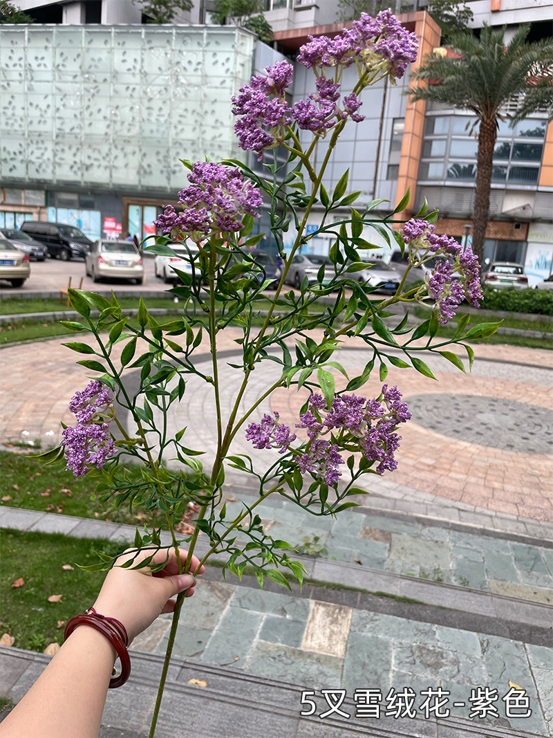聚美-5叉雪绒花-SKU紫色