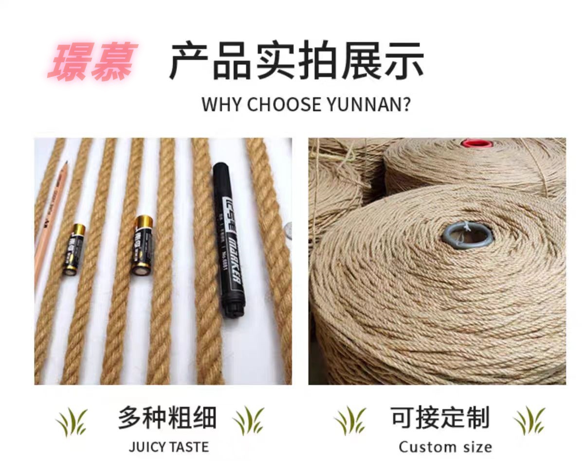 微信图片_20250225144903_副本