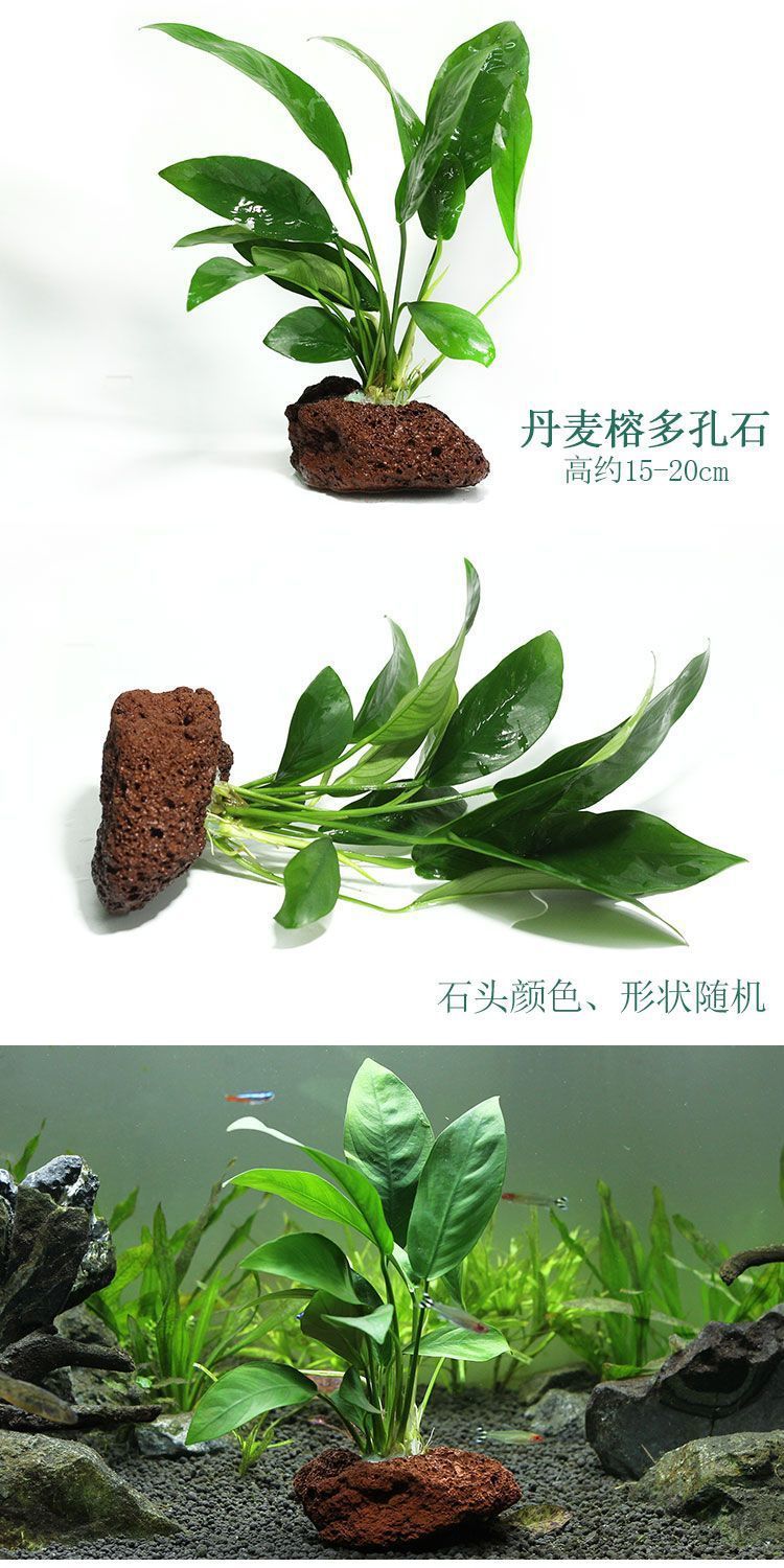 0937d33d-d3db-454c-803f-24a5a49768cb.jpe