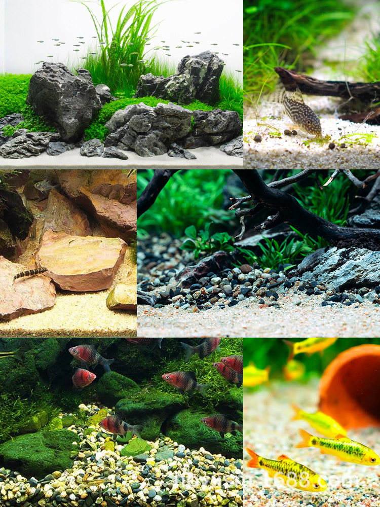 鱼缸底沙超白缸造景装饰沙"详情5.jpg"