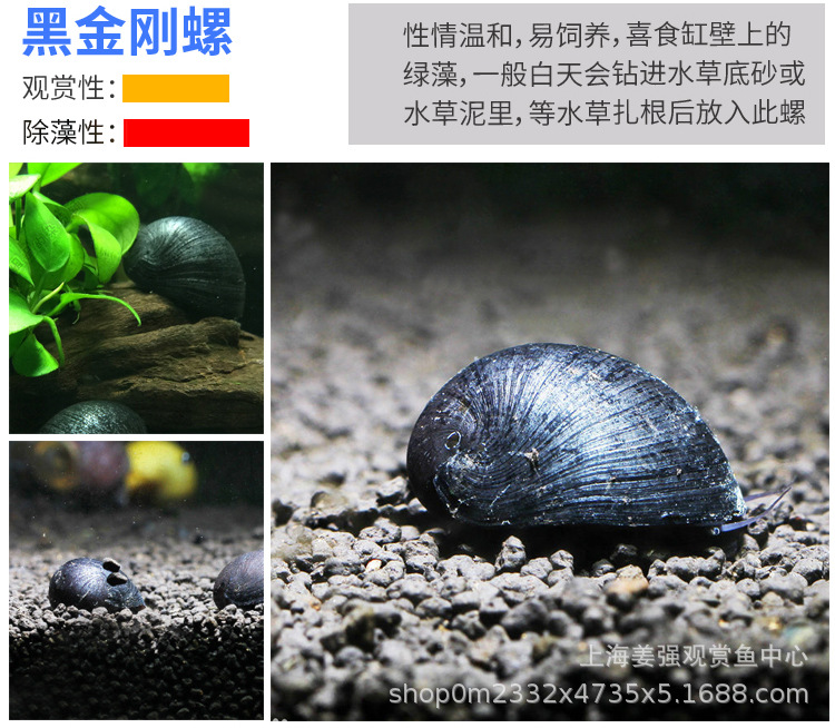 O1CN01DYiuRJ2E8Bv6viuUH_!!2200