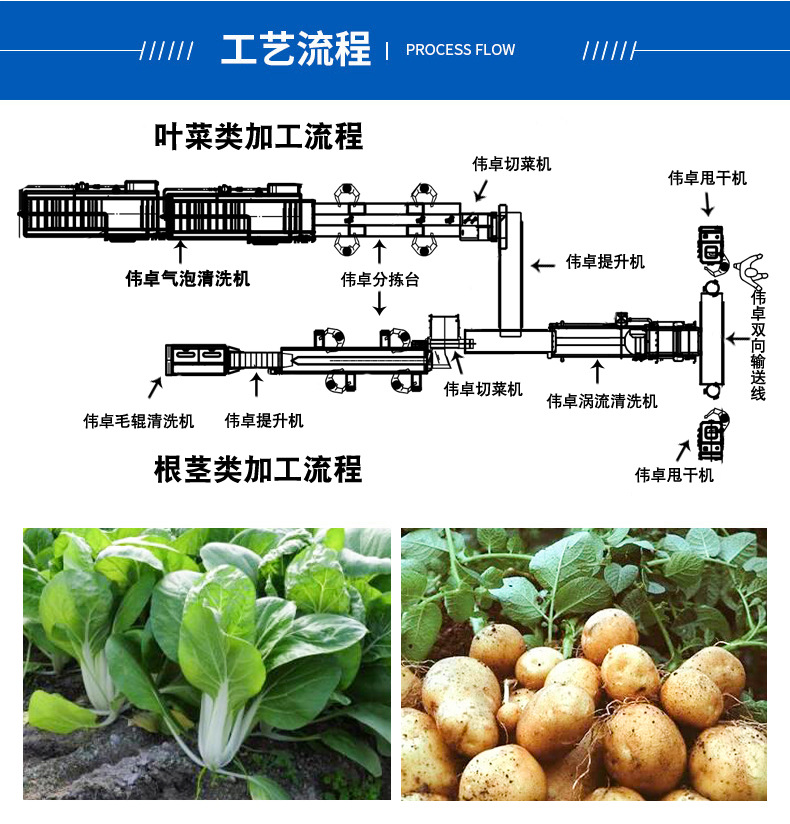 净菜加工线_02.jpg