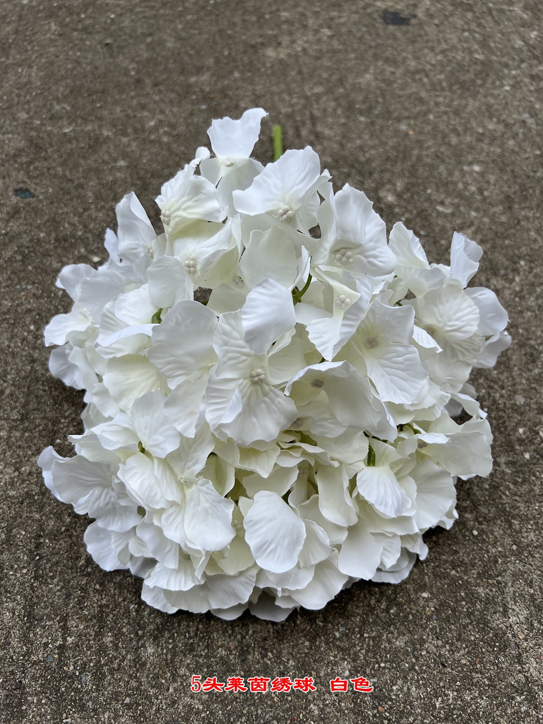 微信图片_20220818113652