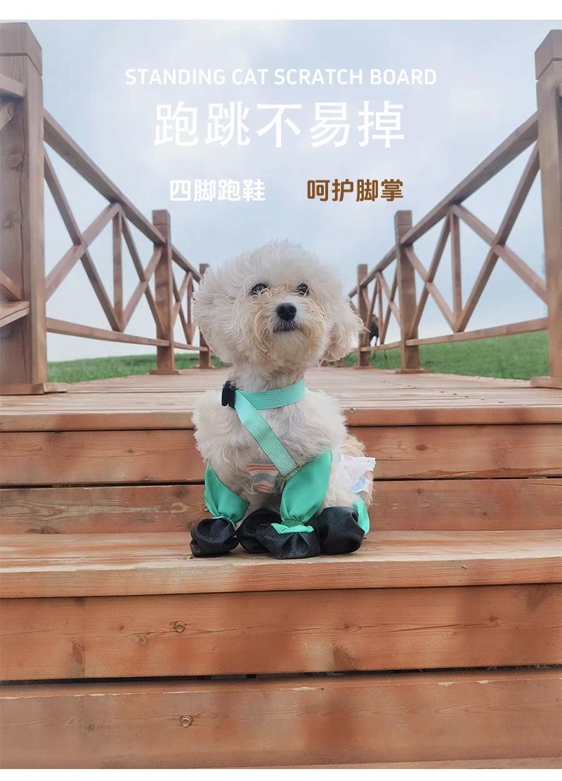 7e2a4be9-de96-4ed2-bc46-65f65b4b5e09.jpe