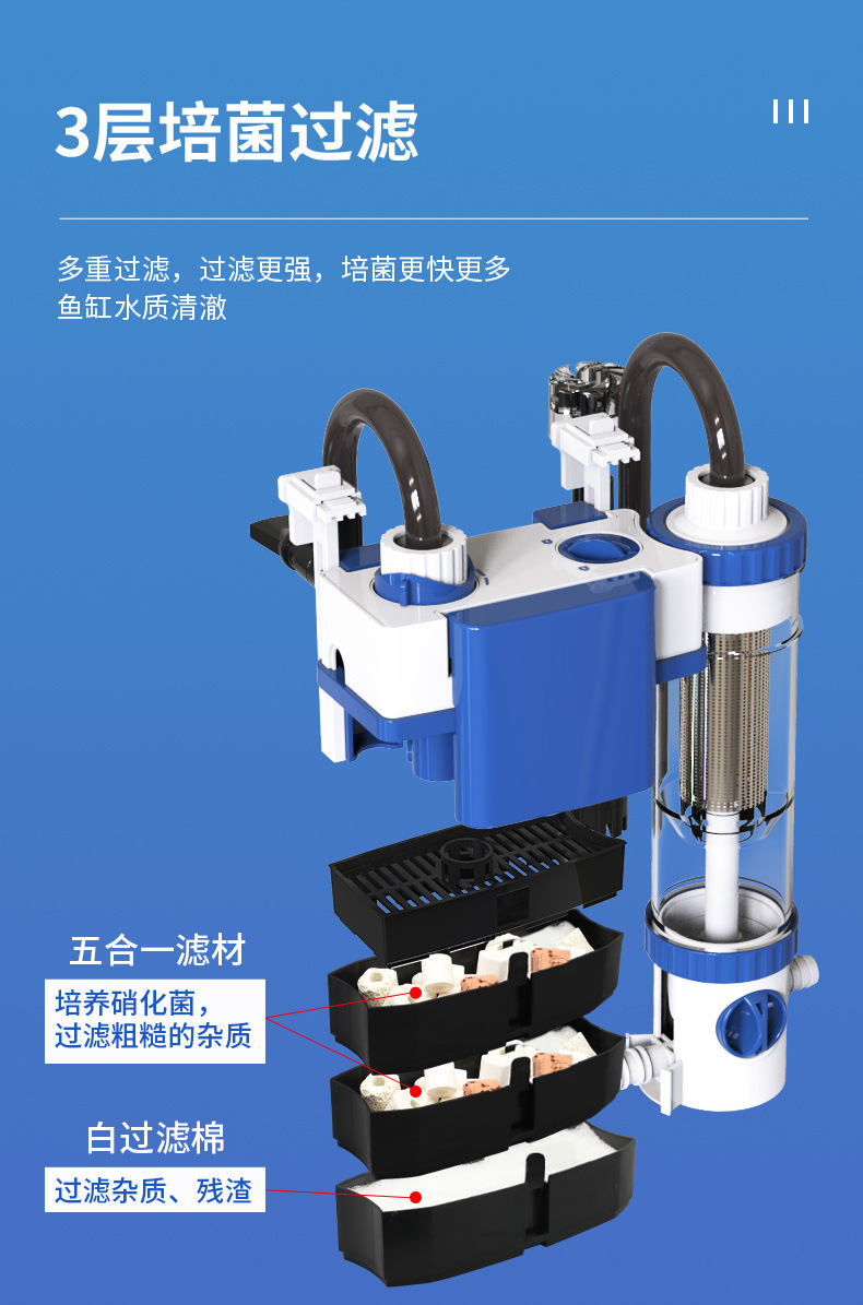 b8bf0a13-e5e3-4662-ba47-2cdbdb04a397.jpe