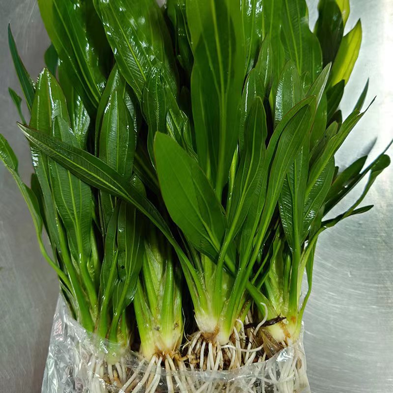 dad10fe7496c764fa74c06146cbd34