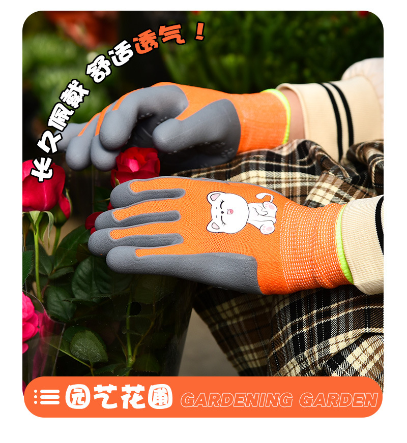 TPE_11.jpg
