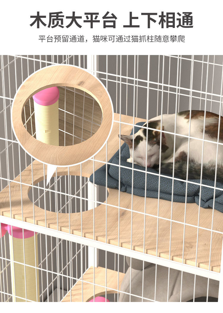 3c42ba22-80eb-45ed-8c86-869e182682ea.jpe