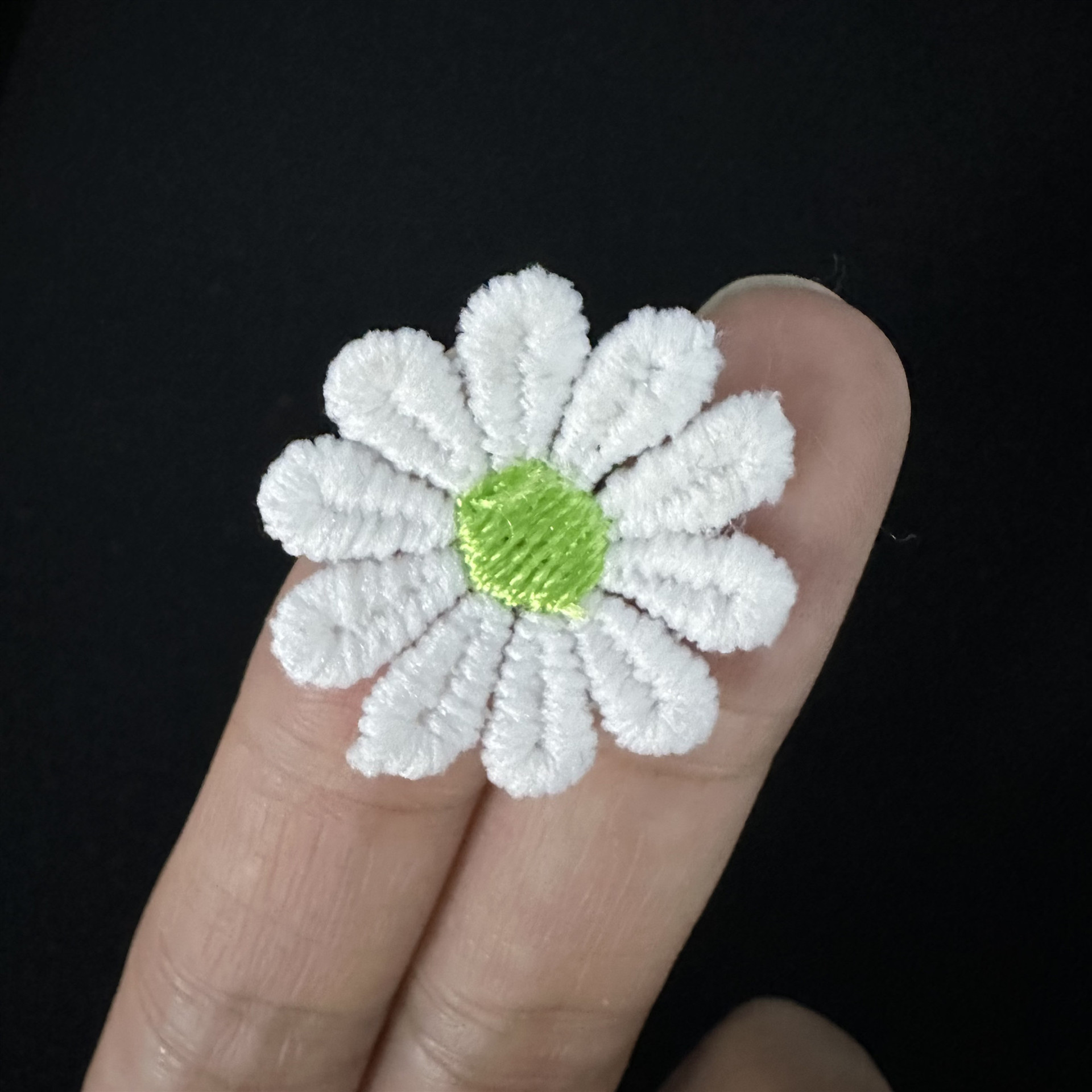 涤光花个