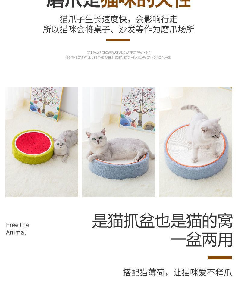 a43bd55e-4978-4dac-ae02-313b1759b9f9.jpe