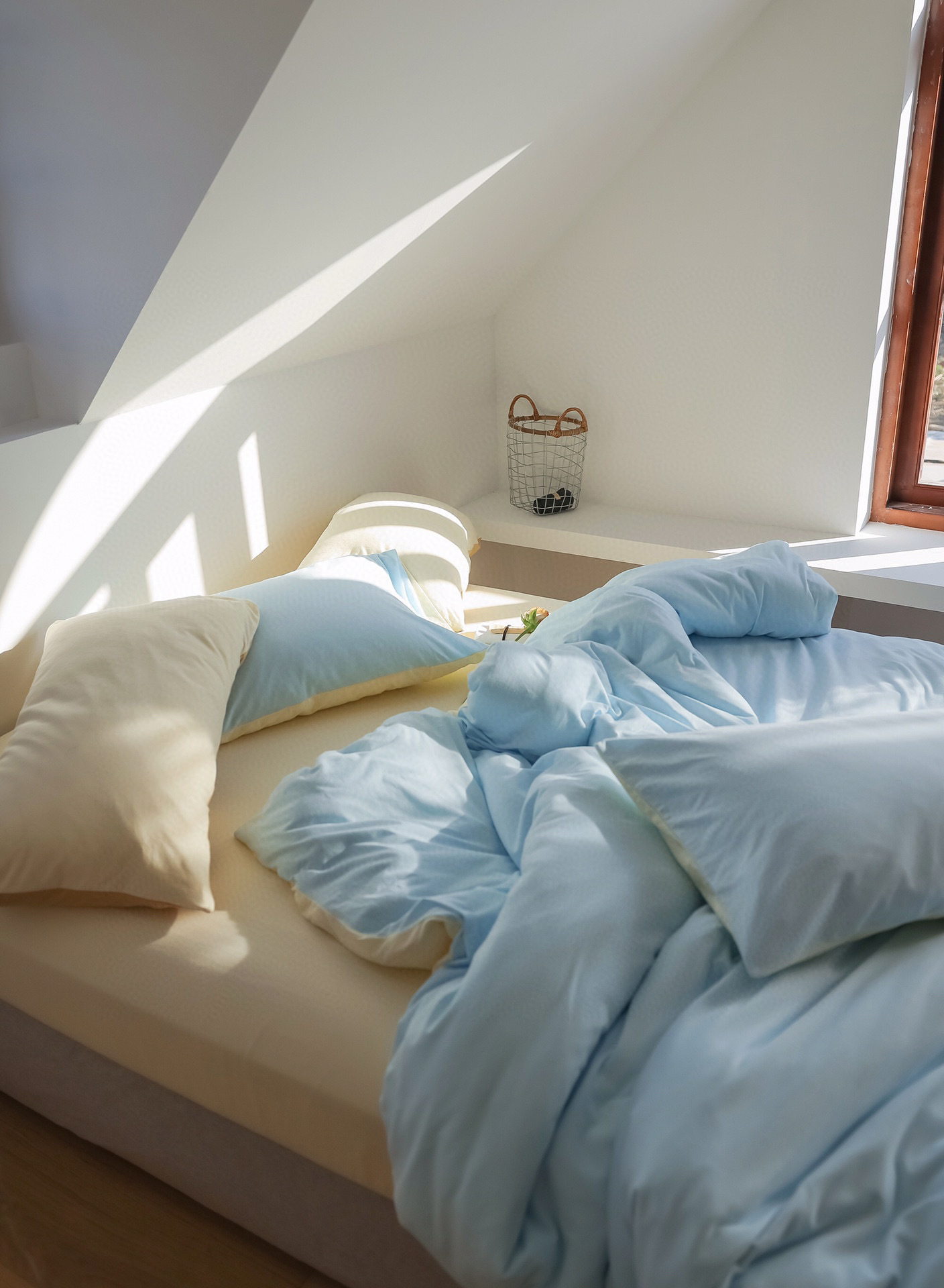 2022-11-22 172316.jpg