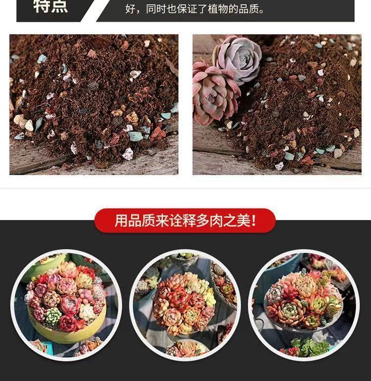 8099b029-b595-420e-bf35-7f778740d107.jpe