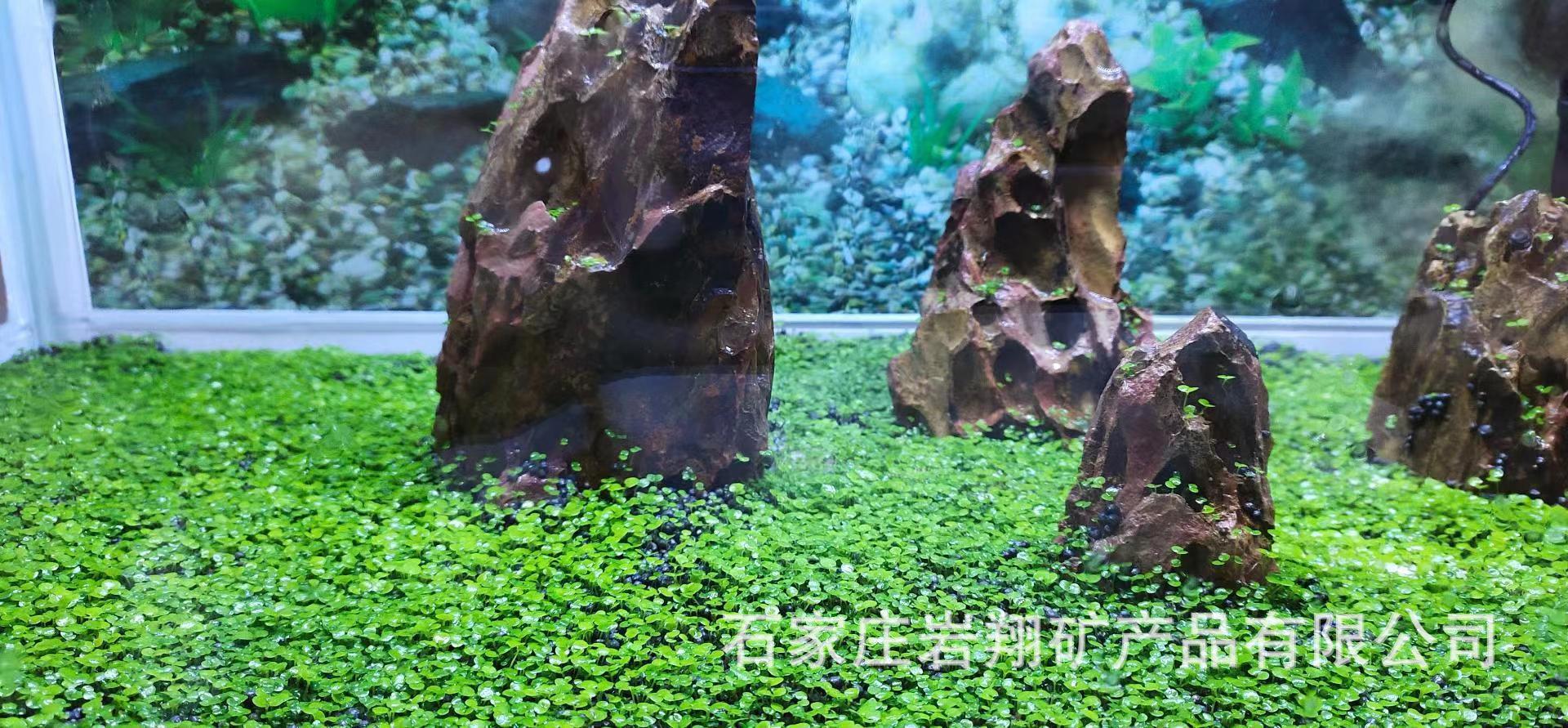 87e61180fa835c4ee6d8560c39627d