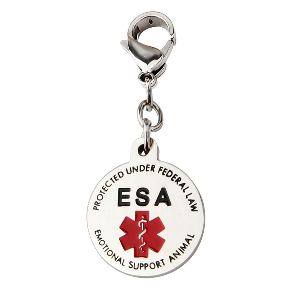 10885489815_1901242555