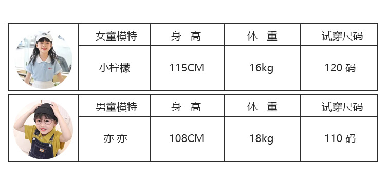 模特介绍
