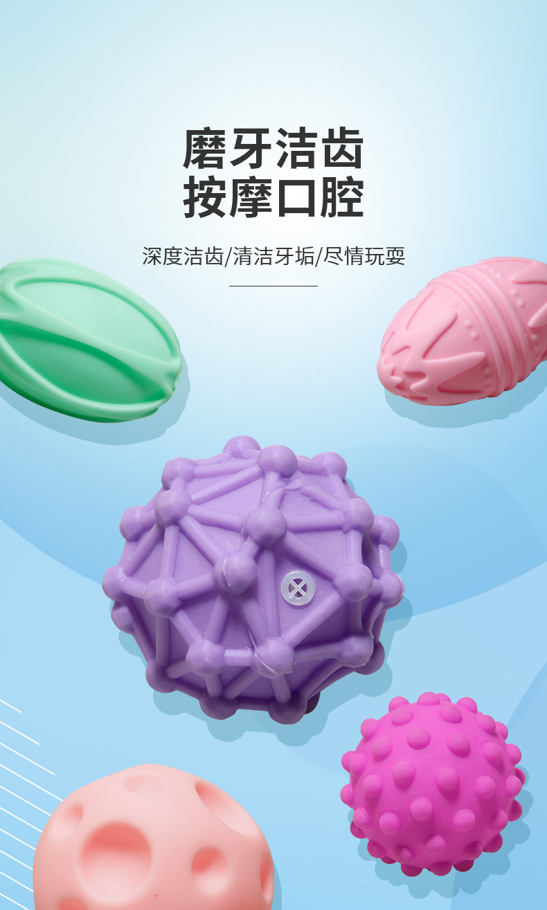 宠物玩具