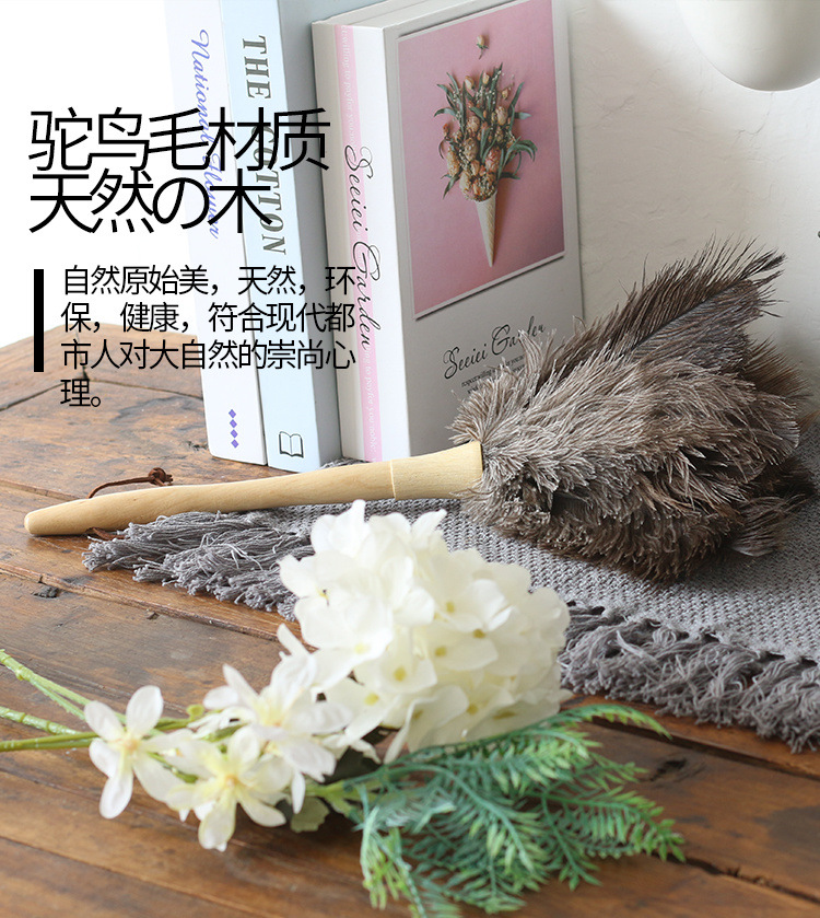 b2288063-9068-4bea-94ba-c4887a32f791.jpe