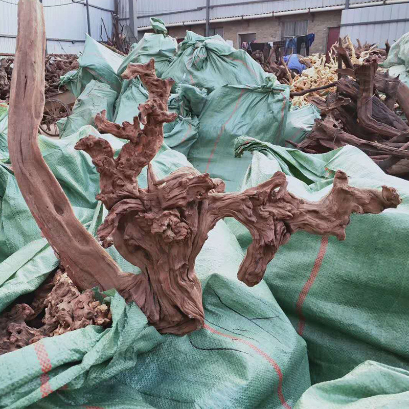 56296bf4fd87b98c4d730e6f057807