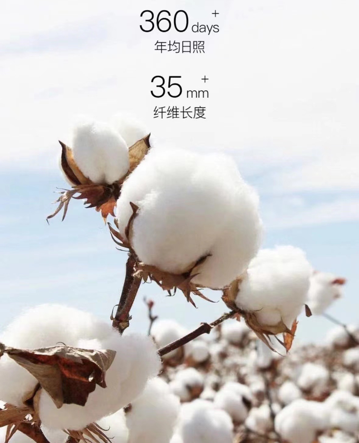 微信图片_20240401221008