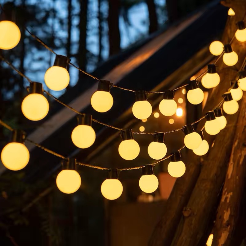 微信图片_20250202224654