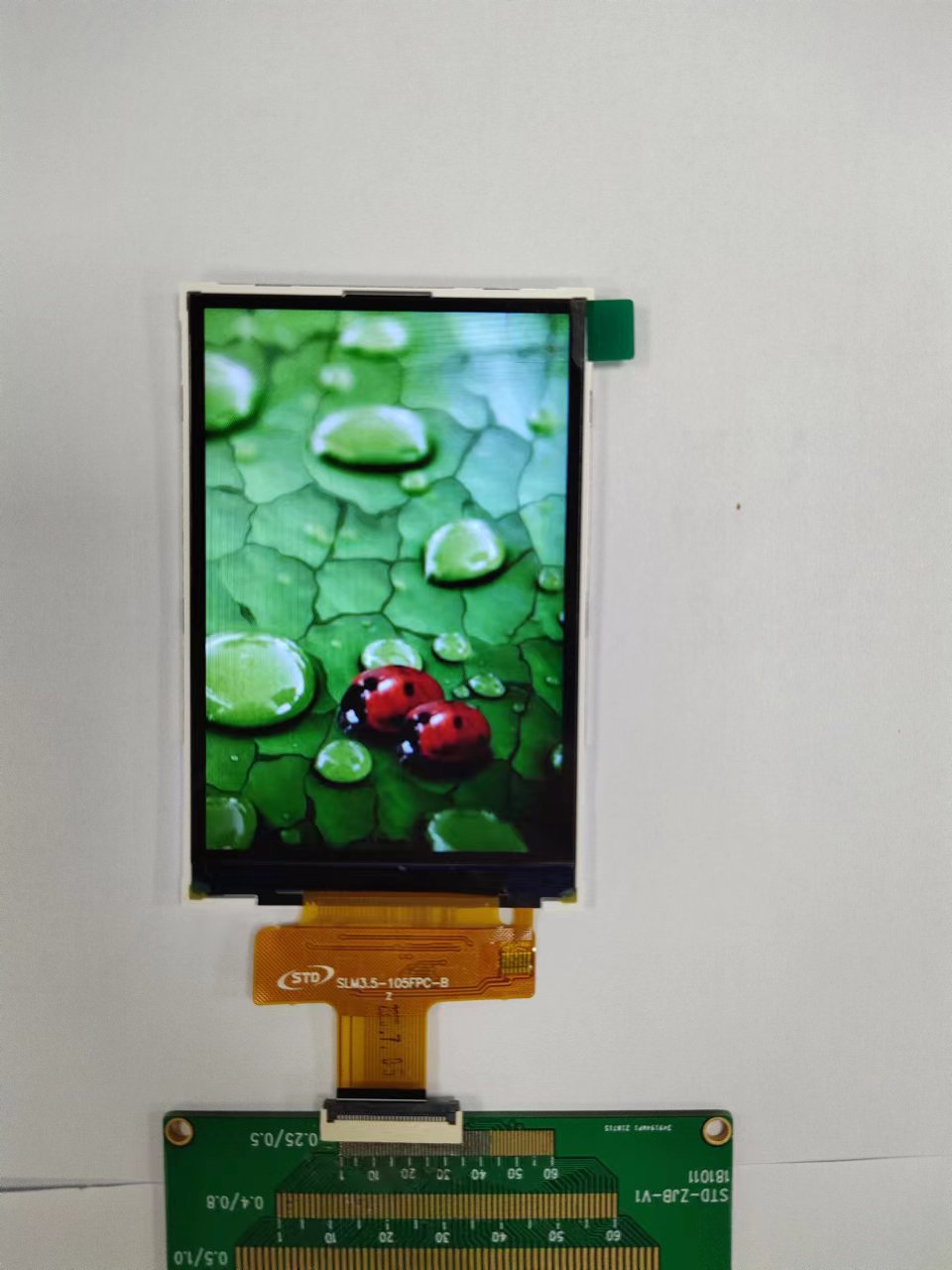 46ac84f217bc1722b9fa7410a10bb1