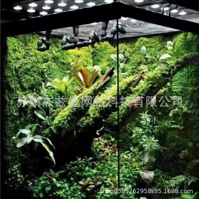 Pet Reptile Terrarium