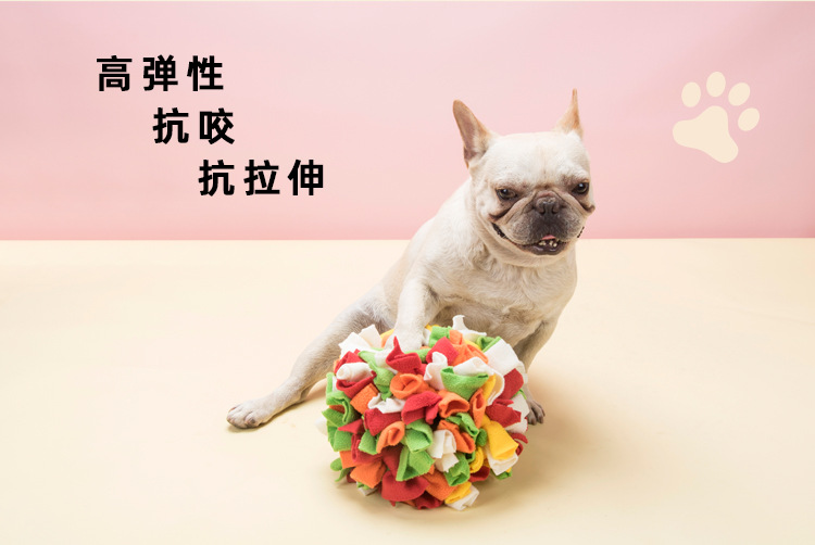 宠物闻嗅球_06.jpg