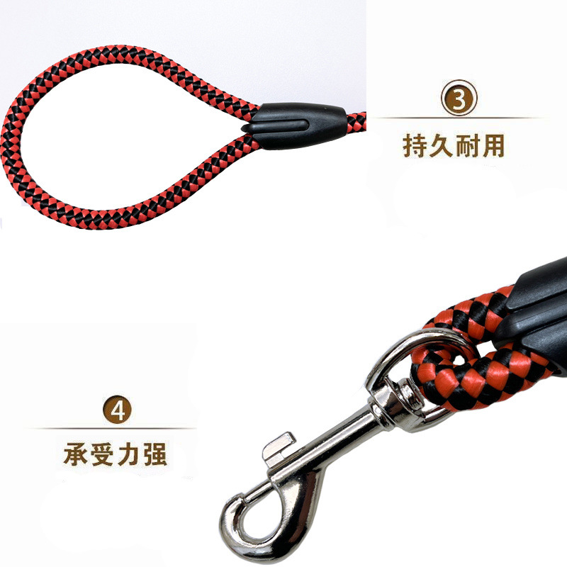 419b9751-a516-4881-a1fa-02ffbd828f38.jpe